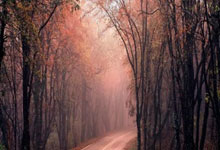 欧博官网：从张家胜、宋凯到周海滨、武磊--中国足球人的2024.