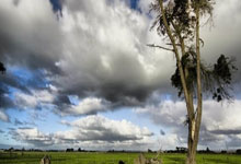 曼城被指控财务违规？哈兰德：我签了9年半长约，说明我不怕.