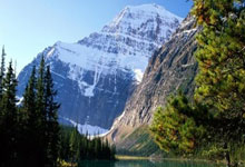 欧博官网:允许跨性别拳击运动员参加2024年巴黎奥运会,国际拳击协会将起诉国际奥委会环球时报.